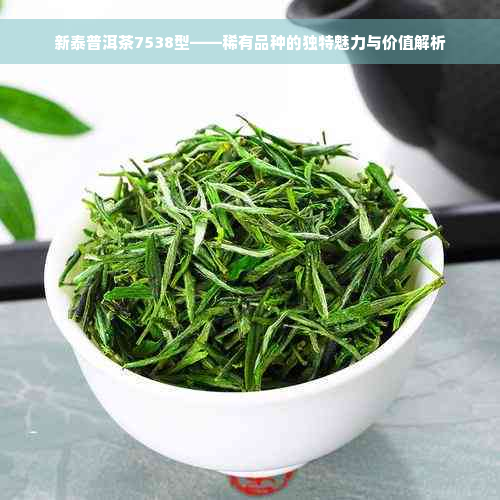 新泰普洱茶7538型——稀有品种的独特魅力与价值解析