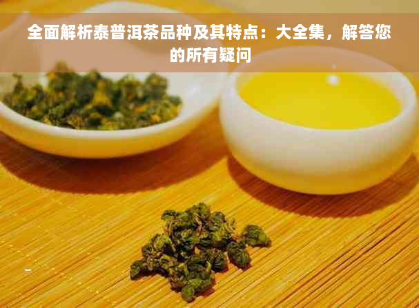 全面解析泰普洱茶品种及其特点：大全集，解答您的所有疑问