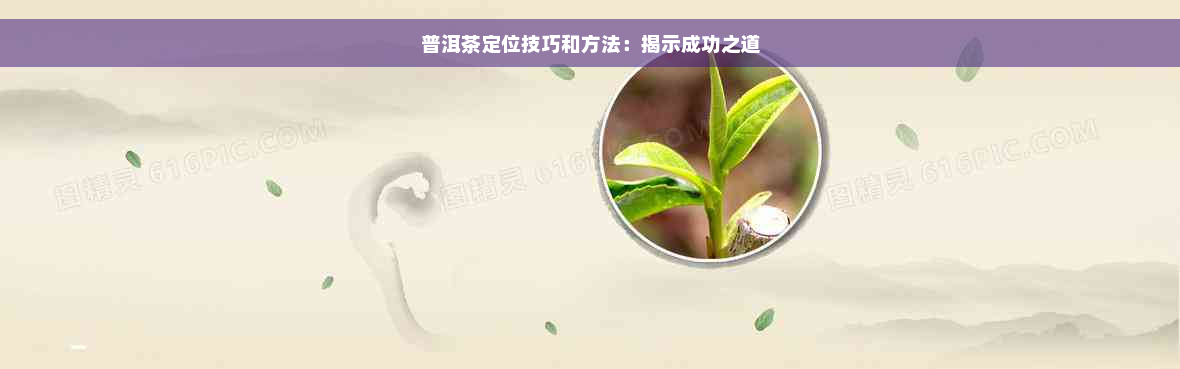 普洱茶定位技巧和方法：揭示成功之道