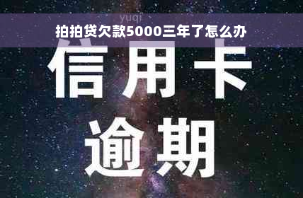 拍拍贷欠款5000三年了怎么办