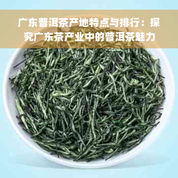 广东普洱茶产地特点与排行：探究广东茶产业中的普洱茶魅力