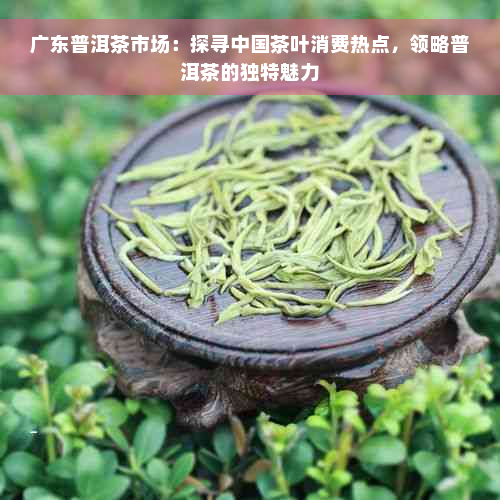 广东普洱茶市场：探寻中国茶叶消费热点，领略普洱茶的独特魅力