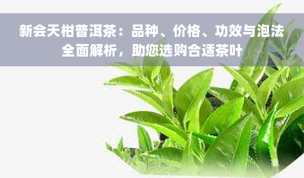 新会天柑普洱茶：品种、价格、功效与泡法全面解析，助您选购合适茶叶