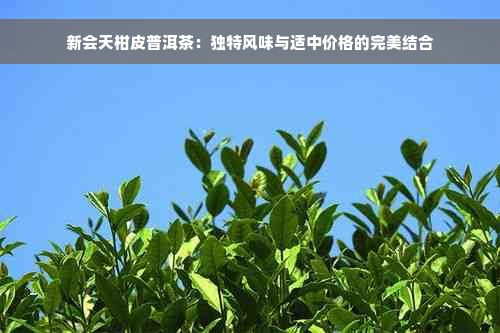 新会天柑皮普洱茶：独特风味与适中价格的完美结合