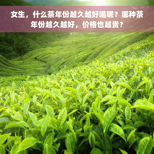 女生，什么茶年份越久越好喝呢？哪种茶年份越久越好，价格也越贵？