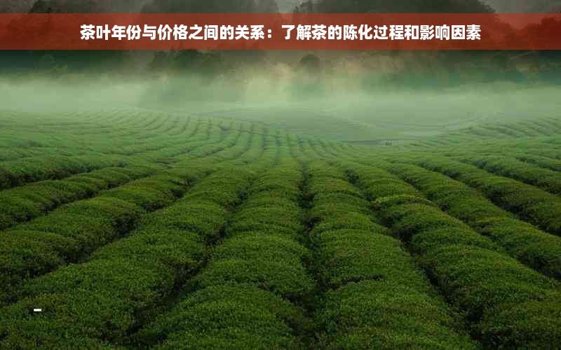 茶叶年份与价格之间的关系：了解茶的陈化过程和影响因素