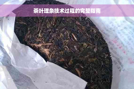 茶叶理条技术过程的完整指南