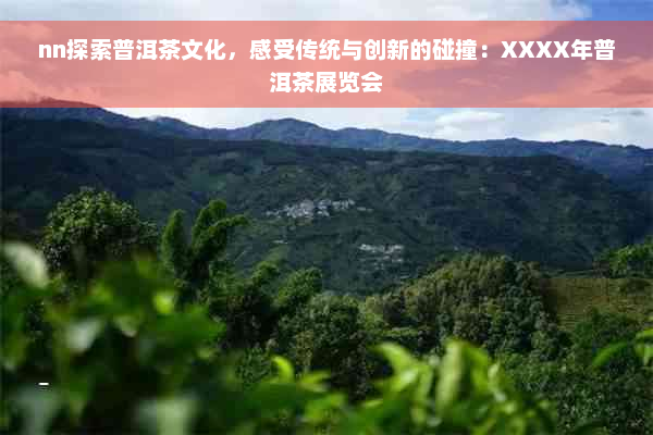 nn探索普洱茶文化，感受传统与创新的碰撞：XXXX年普洱茶展览会