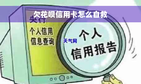 欠花呗信用卡怎么自救