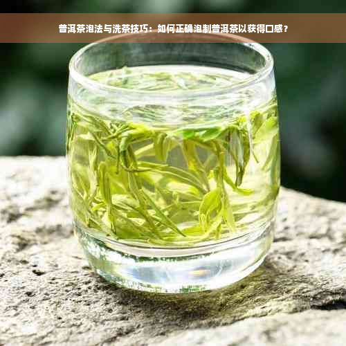 普洱茶泡法与洗茶技巧：如何正确泡制普洱茶以获得口感？