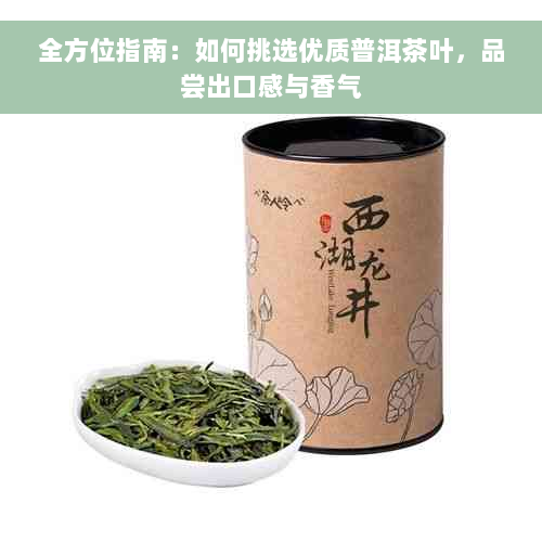 全方位指南：如何挑选优质普洱茶叶，品尝出口感与香气