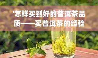 '怎样买到好的普洱茶品质——买普洱茶的经验与技巧'