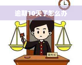 逾期10天了怎么办