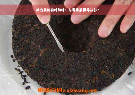 冰岛茶的独特韵味：与哪些茶相得益彰？