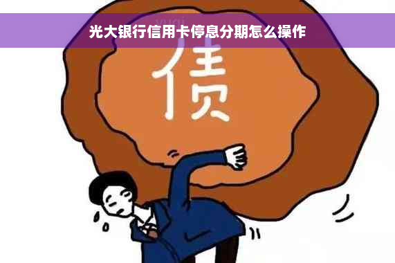 光大银行信用卡停息分期怎么操作