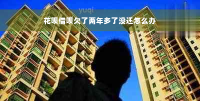 花呗借呗欠了两年多了没还怎么办