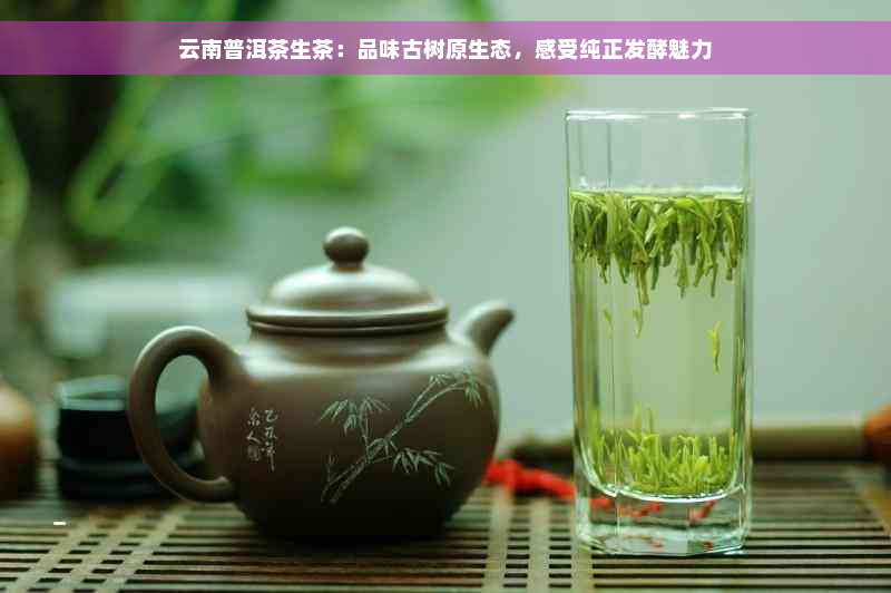 云南普洱茶生茶：品味古树原生态，感受纯正发酵魅力