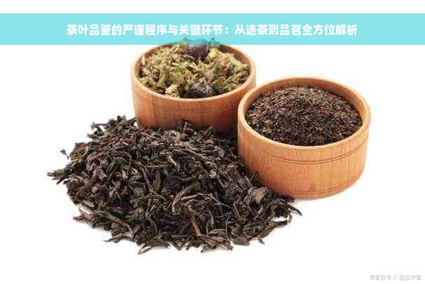 茶叶品鉴的严谨程序与关键环节：从选茶到品茗全方位解析