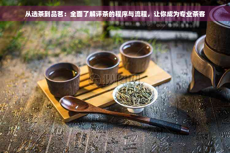 从选茶到品茗：全面了解评茶的程序与流程，让你成为专业茶客