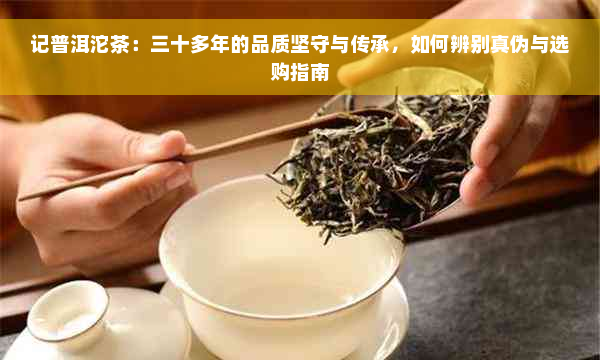 记普洱沱茶：三十多年的品质坚守与传承，如何辨别真伪与选购指南