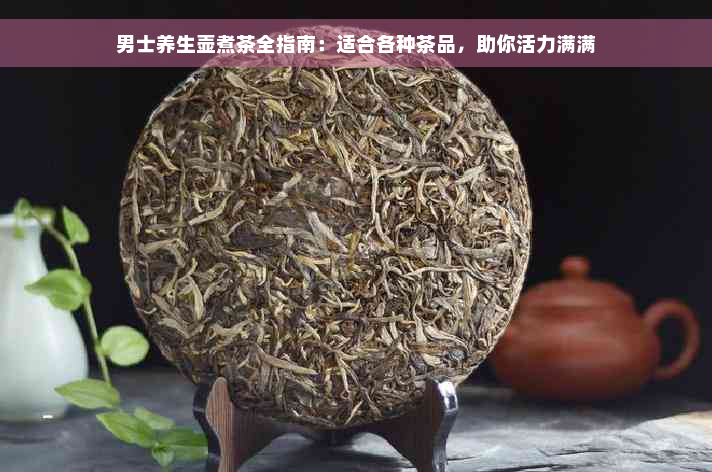 男士养生壶煮茶全指南：适合各种茶品，助你活力满满