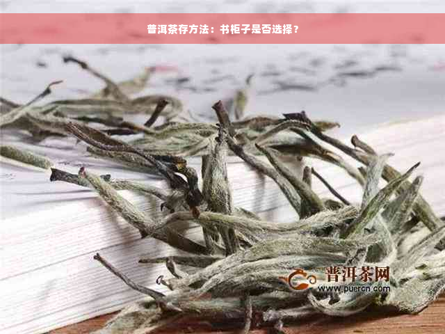 普洱茶存方法：书柜子是否选择？