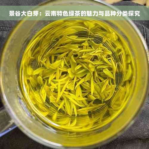 景谷大白芽：云南特色绿茶的魅力与品种分类探究