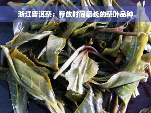 浙江普洱茶：存放时间最长的茶叶品种