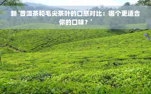 新 '普洱茶和毛尖茶叶的口感对比：哪个更适合你的口味？'