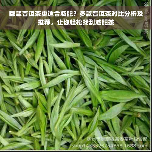 哪款普洱茶更适合减肥？多款普洱茶对比分析及推荐，让你轻松找到减肥茶