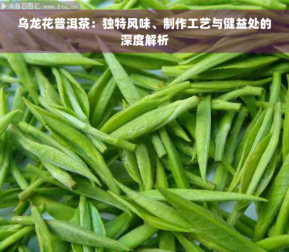 乌龙花普洱茶：独特风味、制作工艺与健益处的深度解析