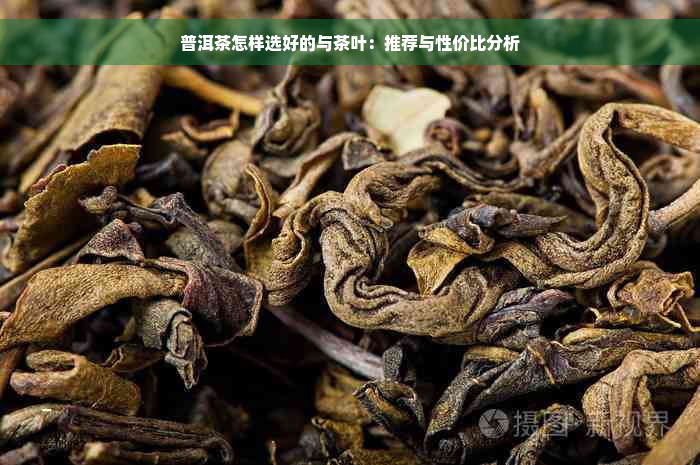 普洱茶怎样选好的与茶叶：推荐与性价比分析