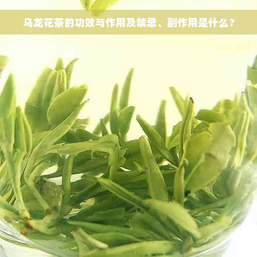 乌龙花茶的功效与作用及禁忌、副作用是什么？