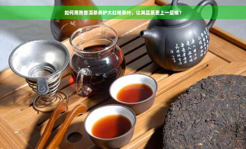 如何用熟普洱茶养护大红袍茶叶，让其品质更上一层楼？